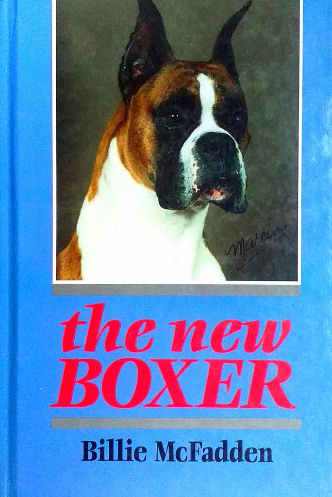 THE NEW BOXER