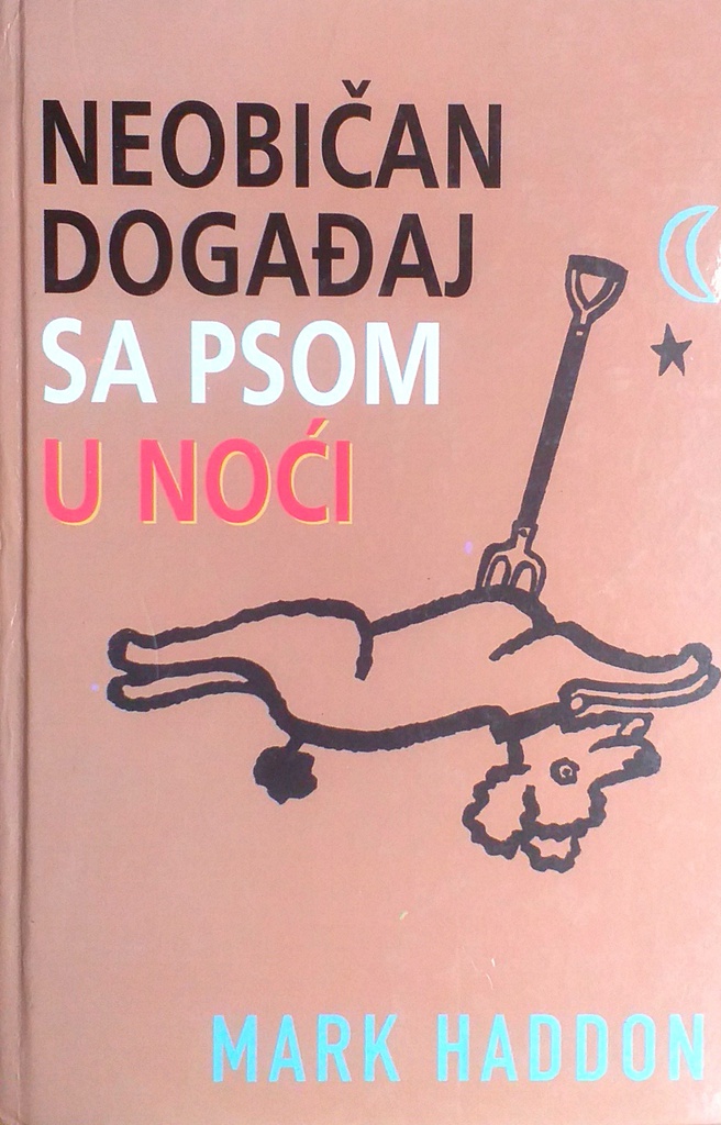 NEOBIČAN DOGAĐAJ SA PSOM U NOĆI