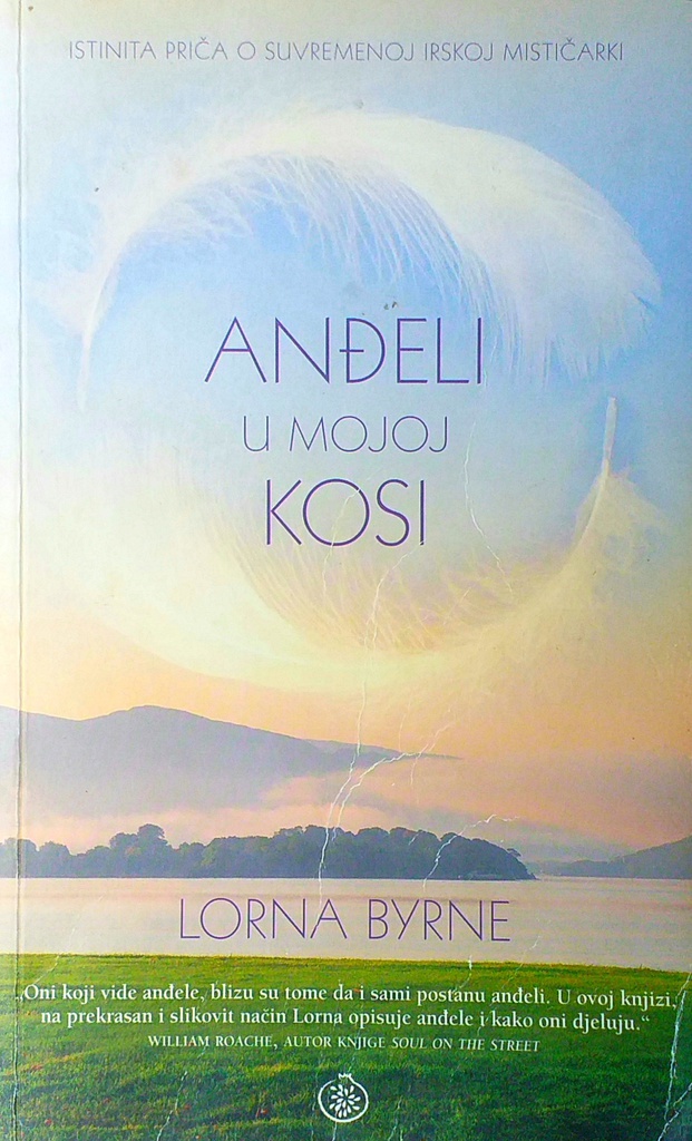 ANĐELI U MOJOJ KOSI