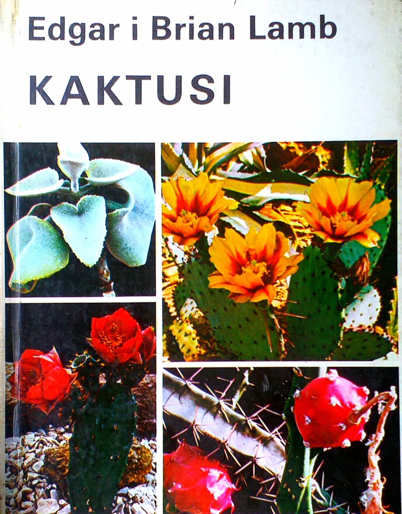 KAKTUSI