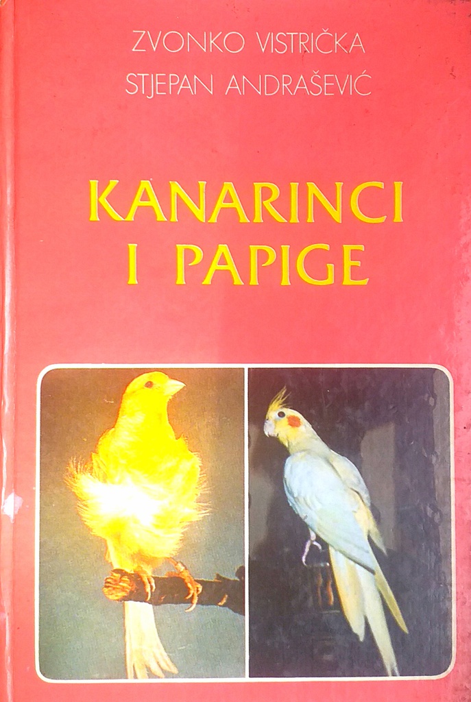 KANARINCI I PAPIGE