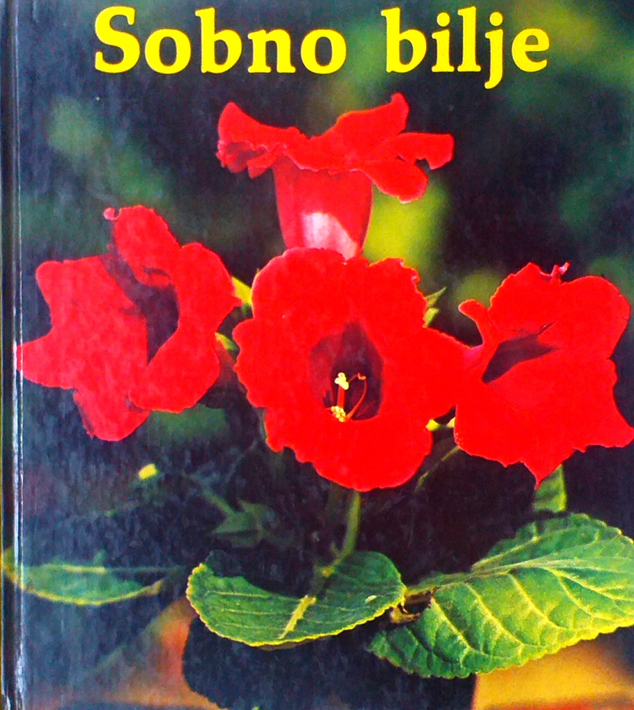 SOBNO BILJE