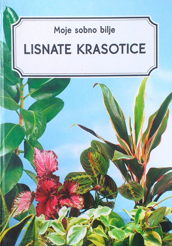 LISNATE KRASOTICE