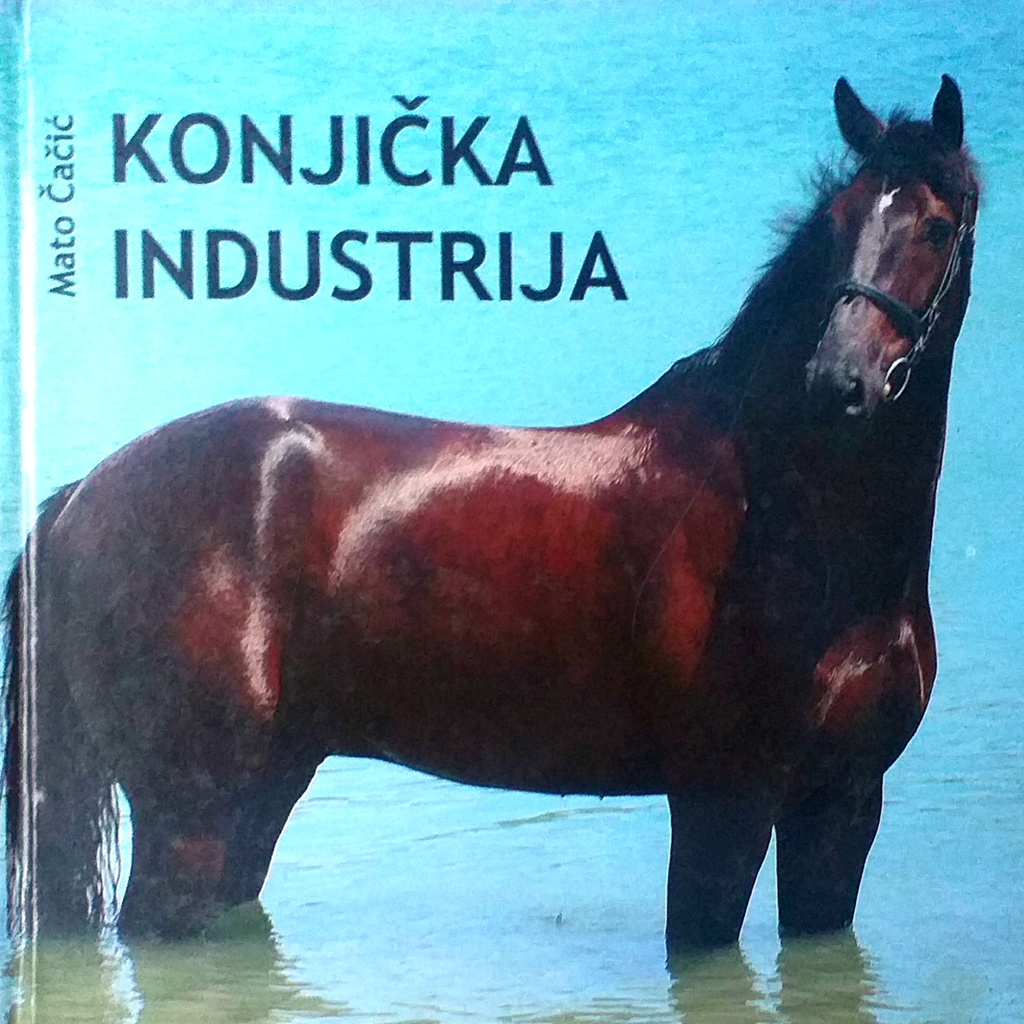 KONJIČKA INDUSTRIJA