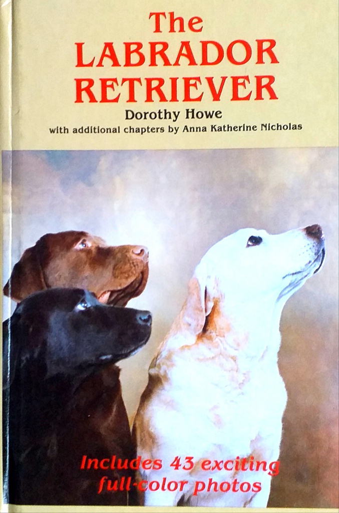 THE LABRADOR RETRIEVER