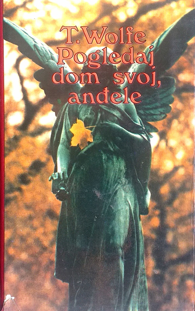 POGLEDAJ DOM SVOJ, ANĐELE