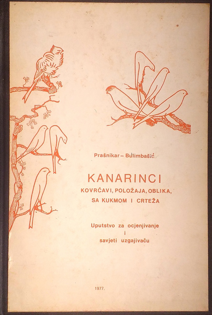 KANARINCI