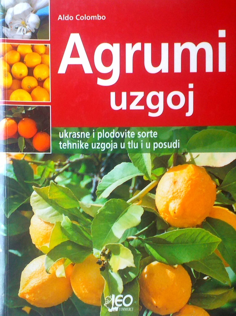 AGRUMI UZGOJ