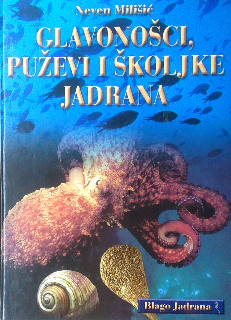 GLAVONOŠCI, PUŽEVI I ŠKOLJKE JADRANA