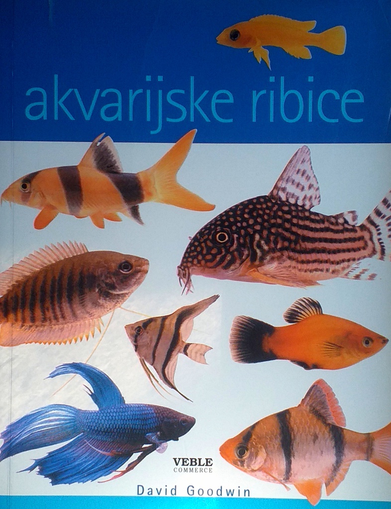 AKVARIJSKE RIBICE