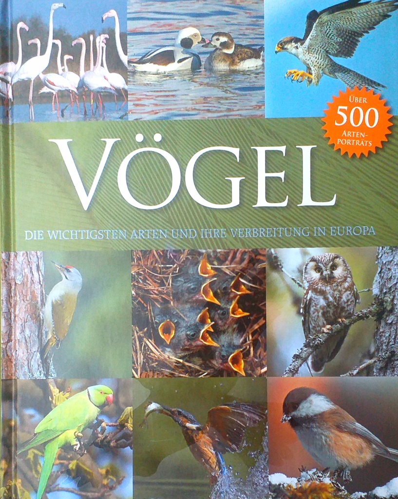 VOGEL