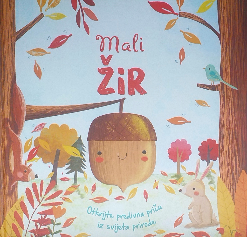 MALI ŽIR