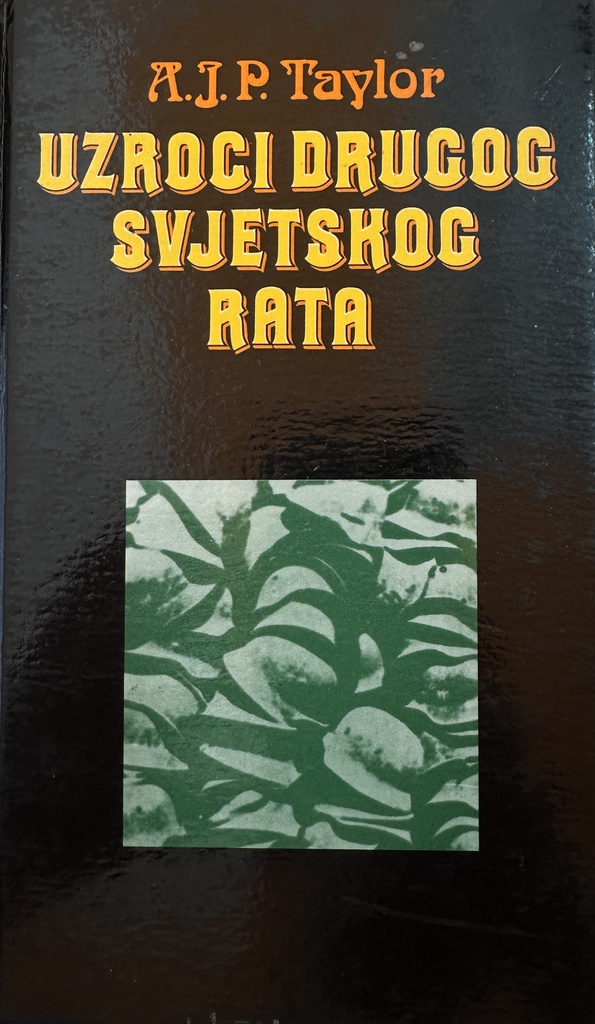 UZROCI DRUGOG SVJETSKOG RATA