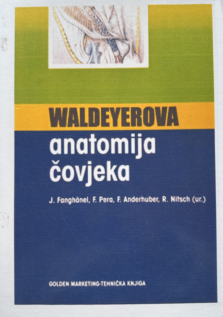 ANATOMIJA ČOVJEKA