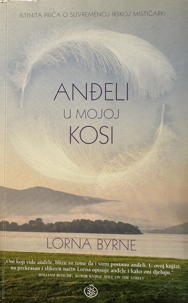 ANĐELI U MOJOJ KOSI