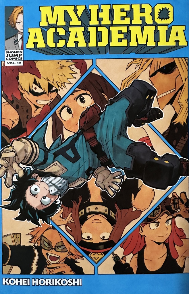 MY HERO ACADEMIA 12