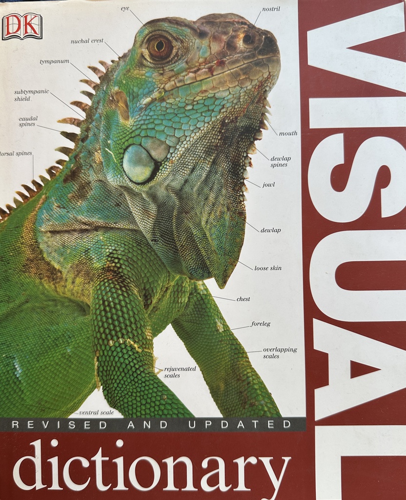 VISUAL DICTIONARY