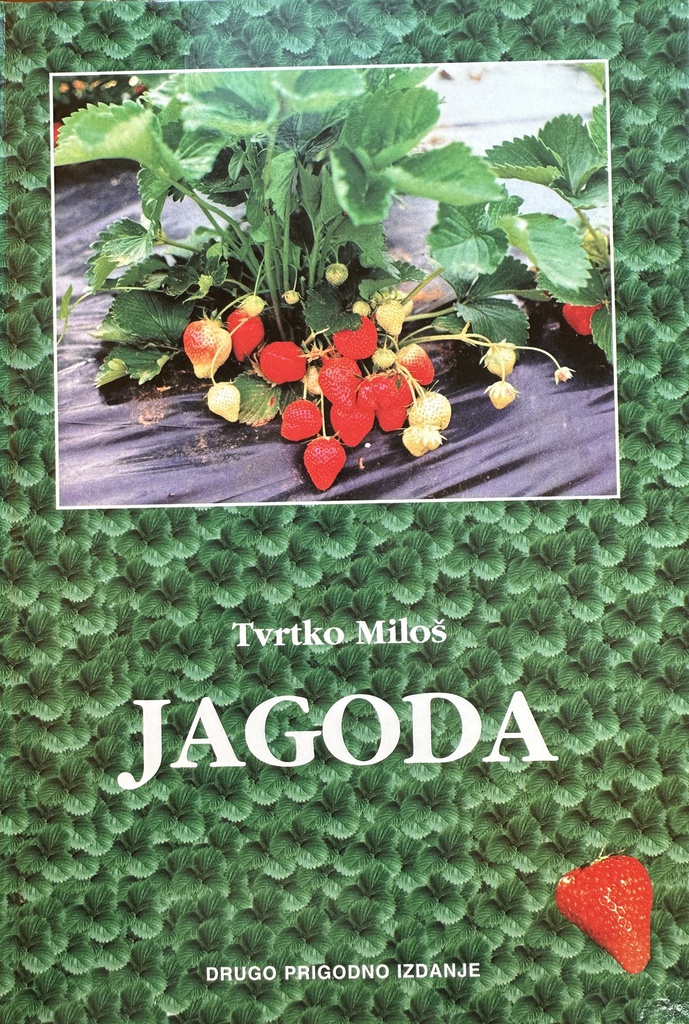 JAGODA