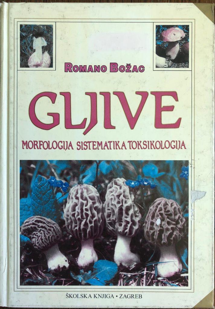 GLJIVE - MORFOLOGIJA SISTEMATIKA TOKSIKOLOGIJA