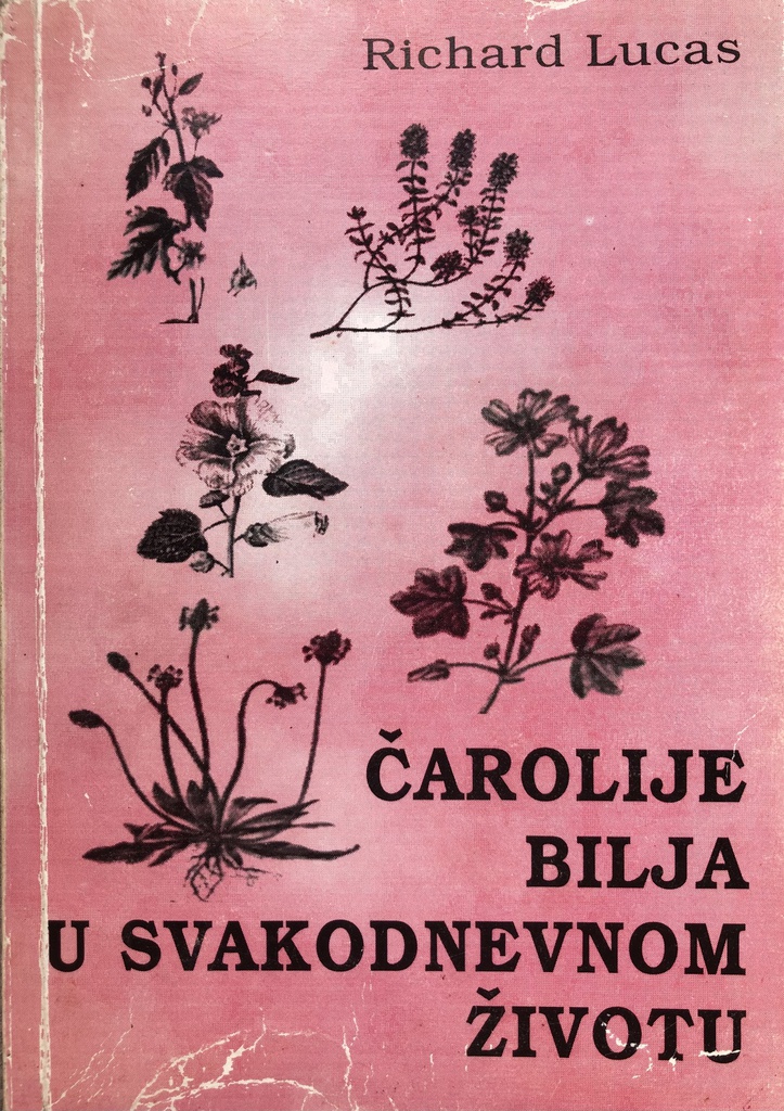 ČAROLIJE BILJA U SVAKODNEVNOM ŽIVOTU