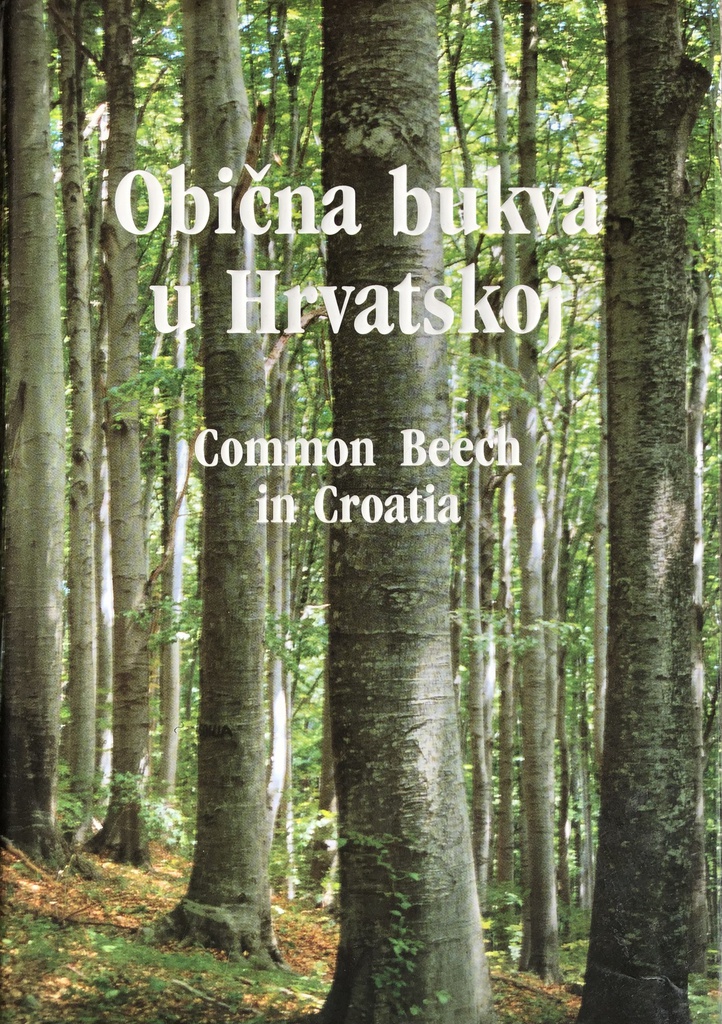 OBIČNA BUKVA U HRVATSKOJ