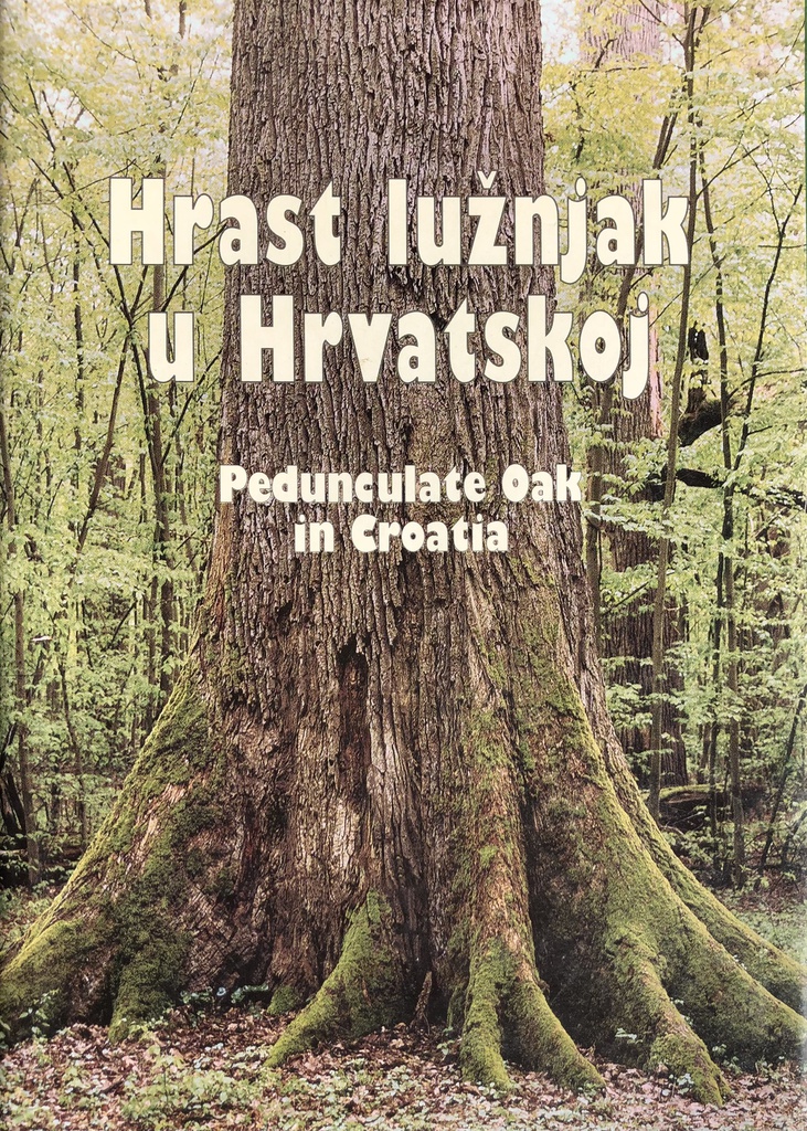 HRAST LUŽNJAK U HRVATSKOJ