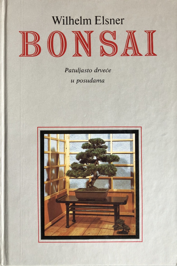 BONSAI - PATULJASTO DRVEĆE U POSUDAMA