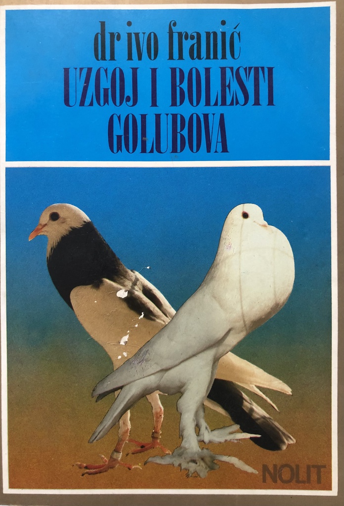 UZGOJ I BOLESTI GOLUBOVA