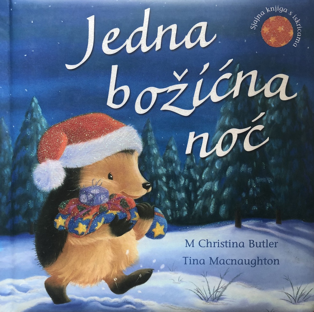 JEDNA BOŽIĆNA NOĆ