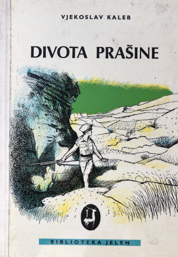 DIVOTA PRAŠINE