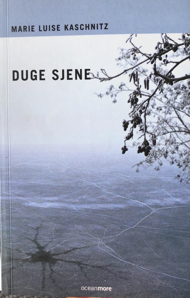 DUGE SJENE