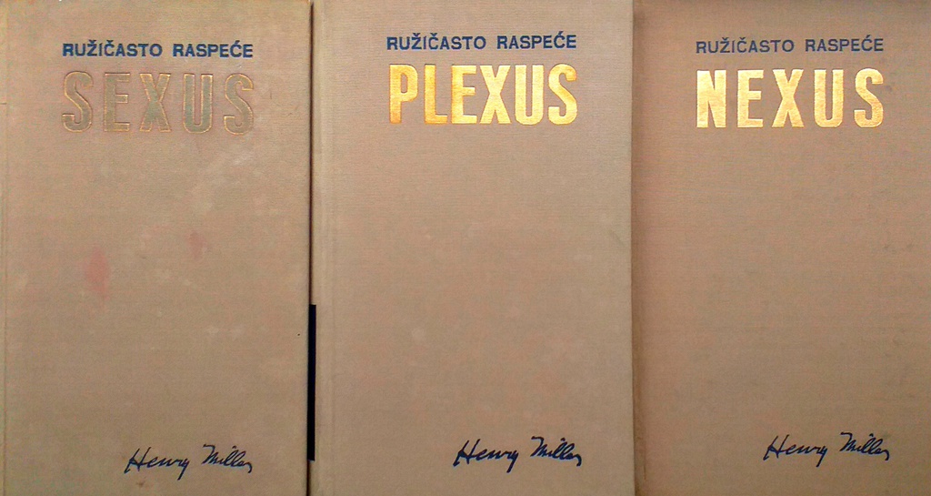 RUŽIČASTO RASPEĆE - SEXUS, PLEXUS, NEXUS