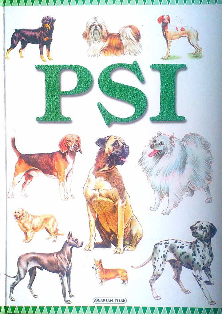 PSI