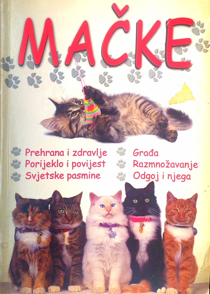 MAČKE