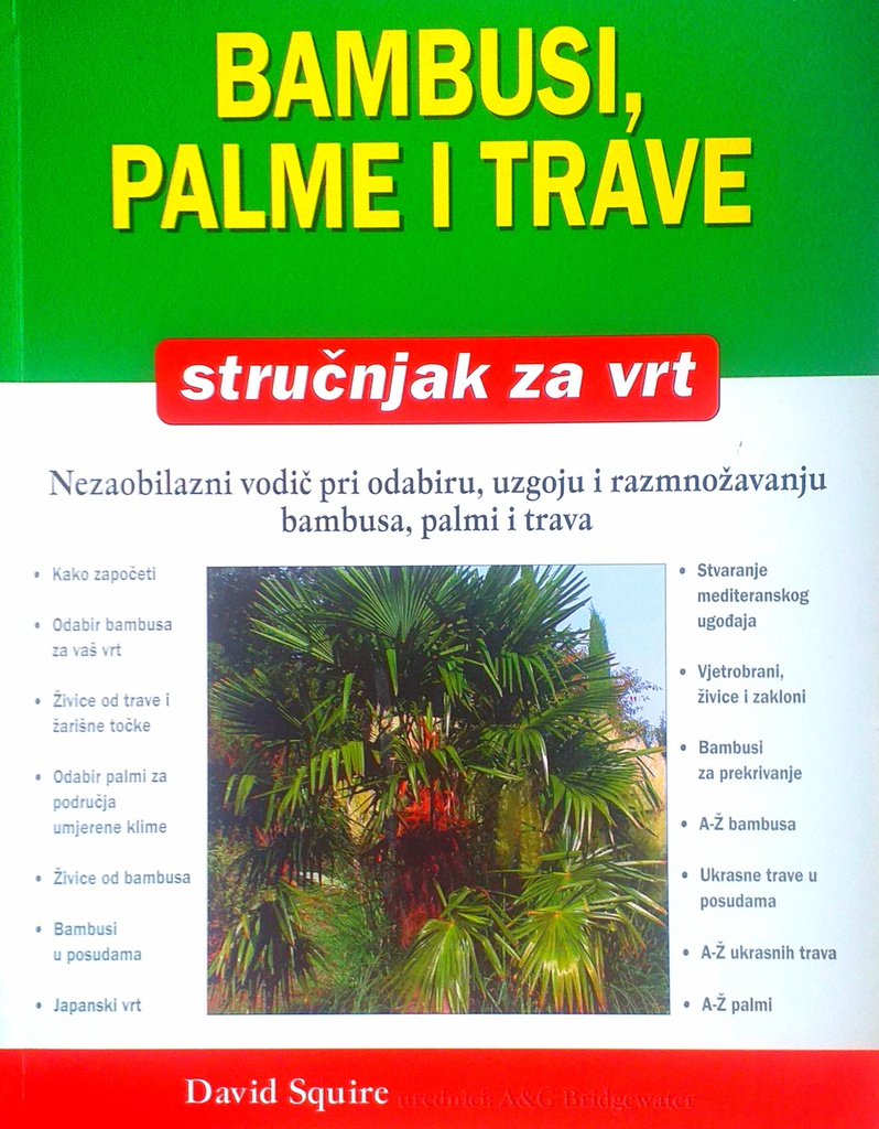 BAMBUSI, PALME I TRAVE