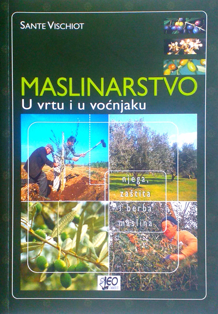 MASLINARSTVO - U VRTU I U VOĆNJAKU