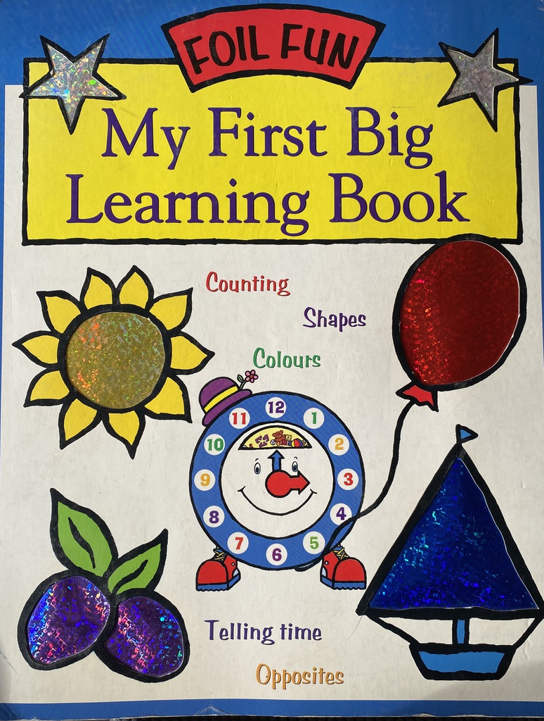 MY FIRST BIG LEARNING BOOK