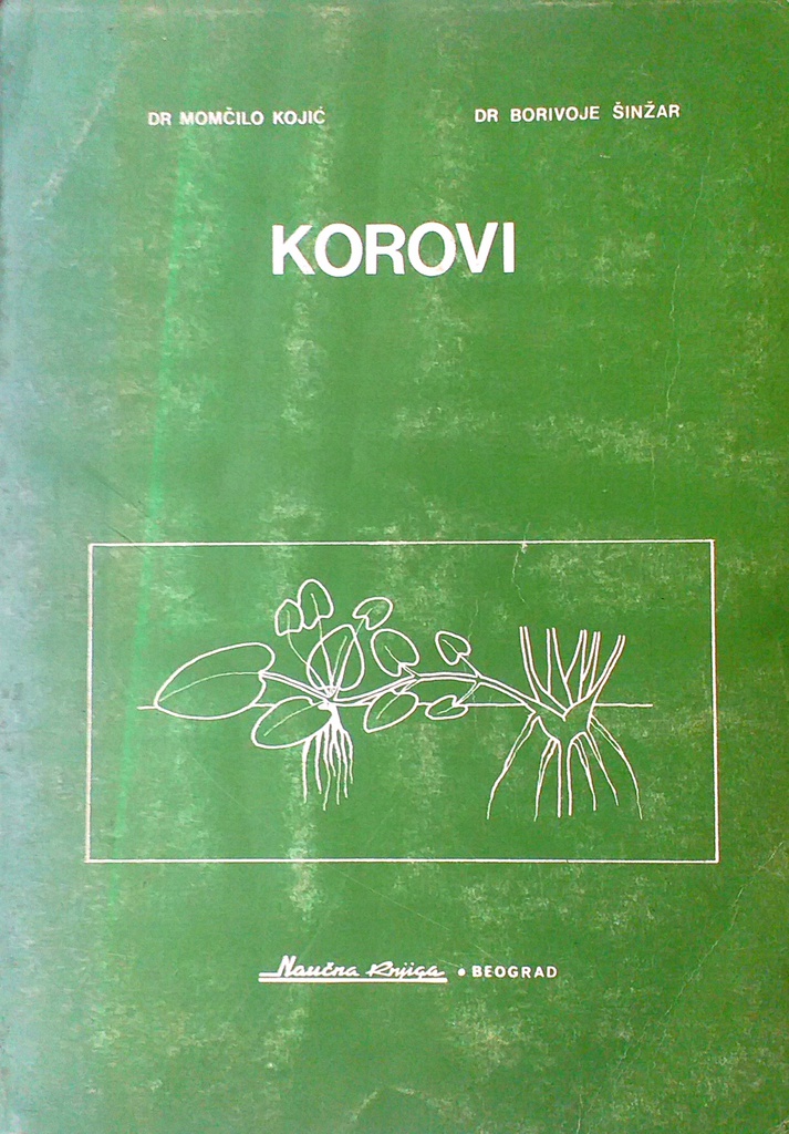 KOROVI