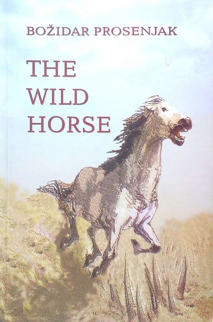 THE WILD HORSE