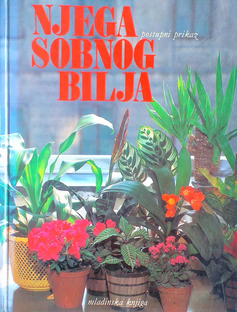 NJEGA SOBNOG BILJA