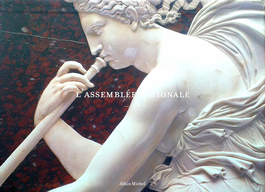 L'ASSEMBLEE NATIONALE