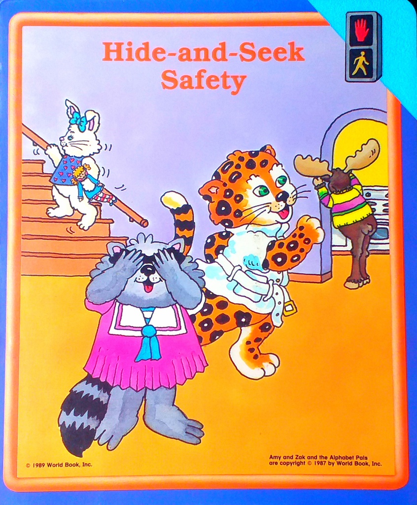 HIDE-AND-SEEK SAFETY