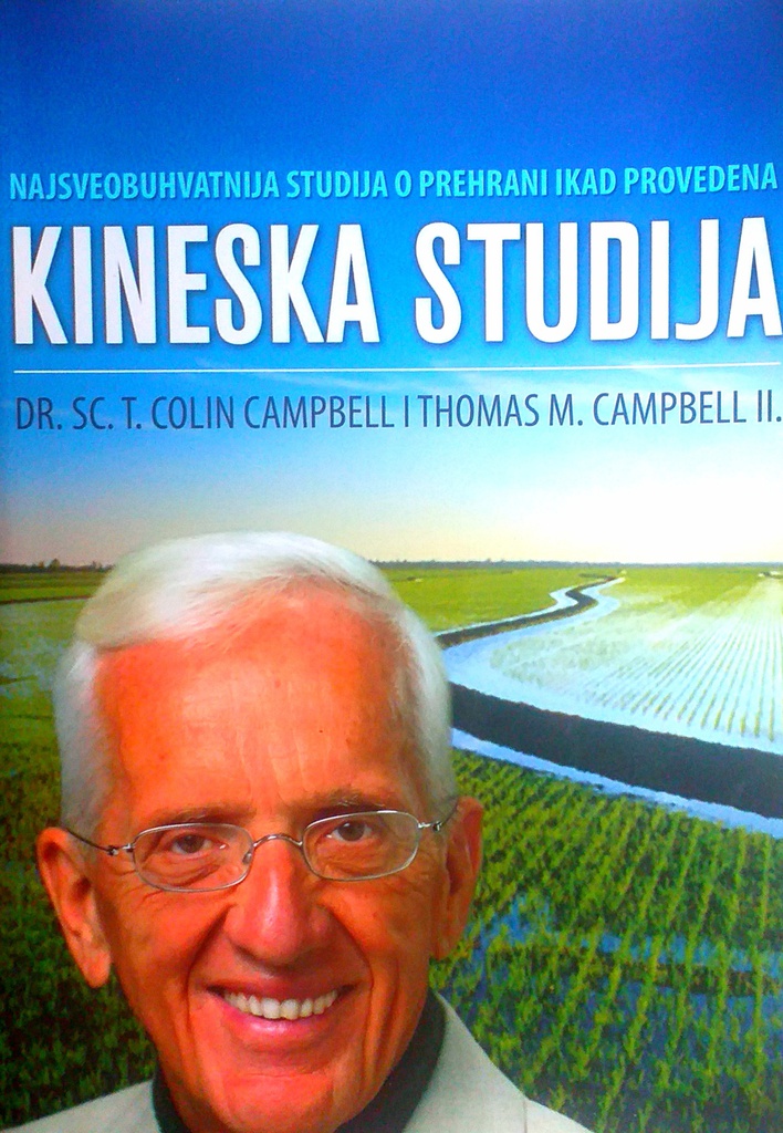 KINESKA STUDIJA