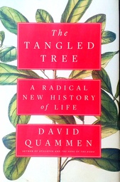 [C-04-3B] THE TANGLED TREE
