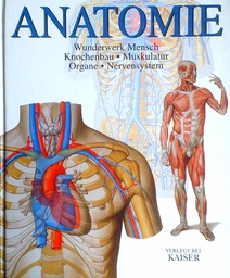 [D-13-1B] ANATOMIE