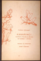 [C-13-3A] KANARINCI