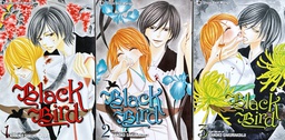 [A-04-6A] BLACK BIRD 1-3