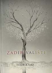 [B-11-6A] ZADIRIVALIŠTE