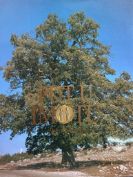[E-04-1B] PUT U IMOTU